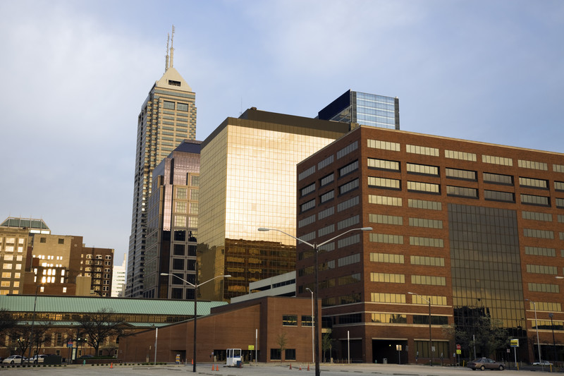 The Cost of Remediation: A Financial Perspective