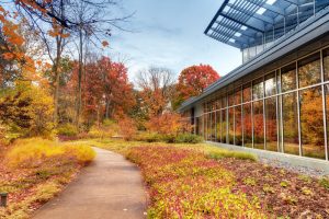 Cost Segregation Services Indiana